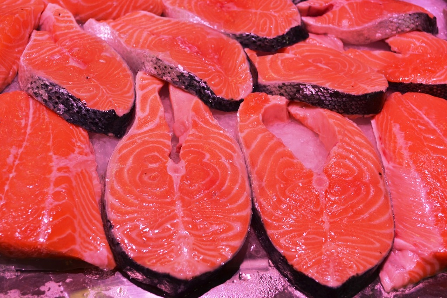Sanísimos filetes de salmón del mercado de Almería